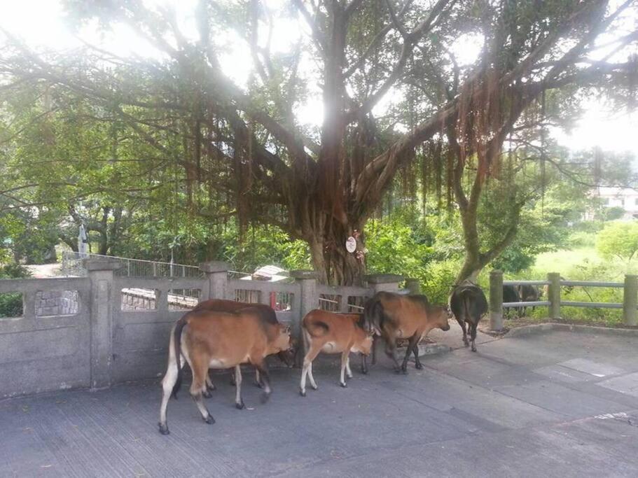 Let - Mui Wo, Lantau Island Apartment Hong Kong